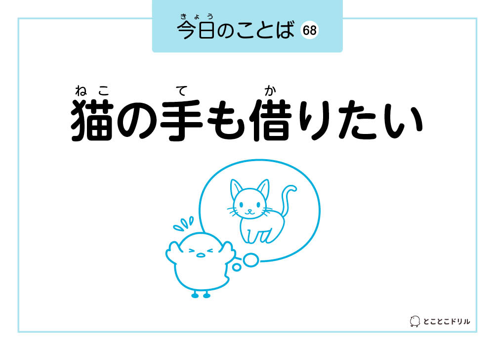 今日のことば68「猫の手も借りたい」